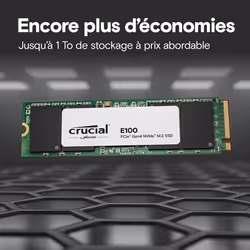 Crucial E100 Tray 2 To M.2 PCI Express 4.0 NVMe - Vue supplémentaire 3