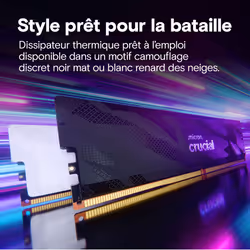 Crucial Pro CP2K16G64C32U5W module de mémoire 32 Go 2 x 16 Go DDR5 6400 MT/s - Vue supplémentaire 5