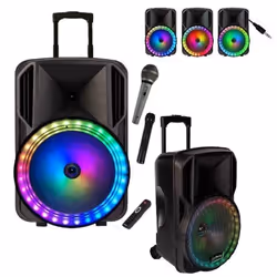 Enceinte karaoké Sono 800w + 2 micros+ Usb Blueooth + Batterie grande autonomie - PARTY15-RGB LED - PA DJ SONO MIX