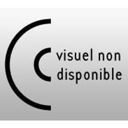 Vinyle - The Pixies - Doolittle - Format Vinyle - Support Vinyl - Album