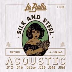 La Bella 710M, Guitare, Acoustique, 6 pièce(s)