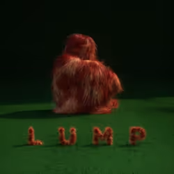 ImportCDs Lump, Américaine, CD, Support physique, Adulte, 1 disques, 01/06/2018
