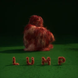 ImportCDs Lump Vinyl Américaine