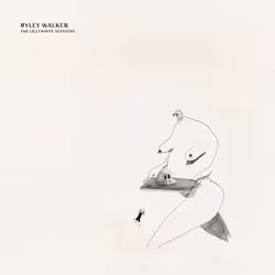 ImportCDs Lillywhite Sessions, Américaine, Vinyl, Support physique, Adulte, 2 disques, 16/11/2018