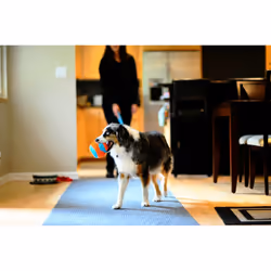 Chuckit! 213201 jouet pour chiens et chats - Vue supplémentaire 6