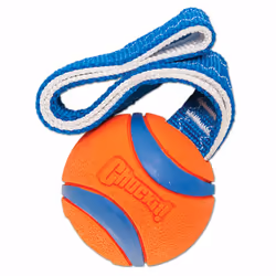 Chuckit! 231101, Chien, Balle, Bleu, Orange, Nylon, Caoutchouc, Attirant, 5,1 cm