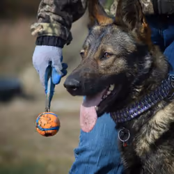 Chuckit! 231101 jouet pour chiens et chats