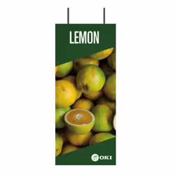 OKI FASTDISPLAY, Métal, 400 mm, 160 mm, 950 mm