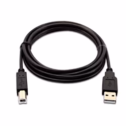 V7 Câble USB 2.0 A mâle vers USB 2.0 B mâle, noir 2m 6.6ft, 2 m, USB A, USB B, USB 1.0, 480 Mbit/s, Noir
