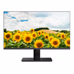 V7 Moniteur IPS 23.8 po FHD 1 920 x 1 080, 60,5 cm (23.8"), 1920 x 1080 pixels, Full HD, LED, 5 ms, Noir