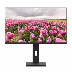 V7 Moniteur IPS 23.8 po FHD 1920 x 1080, 60,5 cm (23.8"), 1920 x 1080 pixels, Full HD, LED, 5 ms, Noir