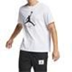 Jordan Air Jumpman Flight Tee AO0664-100 t-shirt pour homme Blanc