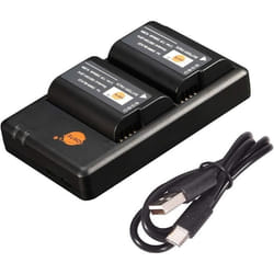 DSTE DMW-BLK22 Lot de 2 batteries Li-Ion et chargeur compatibles avec Panasonic Lumix S5 DC-S5K DC-S5GK