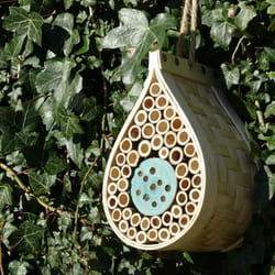 Wildlife Community DEWIH Support Bambou, Bois