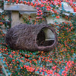 Wildlife Community SKROBRNP, Autonome, Marron, Brushwood, Rotin, Acier, 145 mm, 270 mm, 130 mm