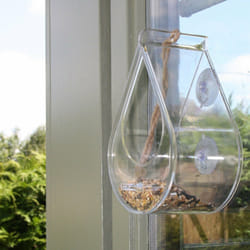Wildlife Community DEWWFV2 mangeoire pour oiseau Transparent Support