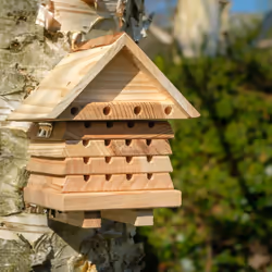 Wildlife Community SBH2, Abeille, Mural, Bois, Bois, Bois, 210 mm