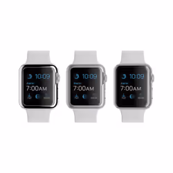Griffin GB41965 accessoire intelligent à porter sur soi Emplacement Gris, Argent, Transparent Polycarbonate