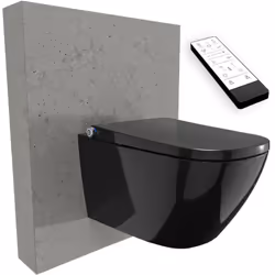 Description générale Le WC lavant BERNSTEIN PRO+ 1104 en noir brillant est un modèle complet au design angulaire, offrant une ...