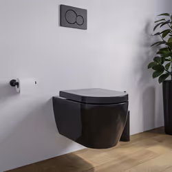 WC suspendu sans bride NANO-protection et abattant Softclose NT2038 Ce WC suspendu sans bride ouverte établit de nouvelles no ...