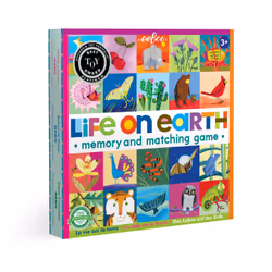 eeBoo MGLOE3, Jeu de société, Mémoire, 3 an(s), Jeu familial