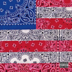 Alive AG All-Amerikkkan Bada$$ CD Hip-hop Joey Bada$$