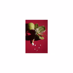 AHAVA ACTIVATING SMOOTHING ESSENCE Essence pour visage Femmes