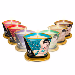 SHUNGA Exotic Fruits 170 ml 1 pièce(s) 40 h