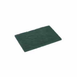 Tampon abrasif vert  paquet de 10 SPONTEX