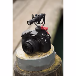 RØDE VideoMicro Noir Microphone de caméscope - Vue supplémentaire 4