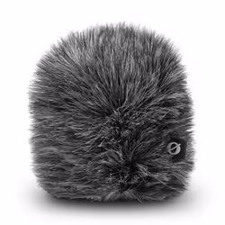 RØDE WS12