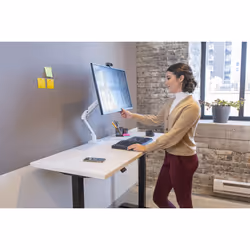 Ergotron MXV Series MXV Desk Monitor Arm 34" Blanc Bureau