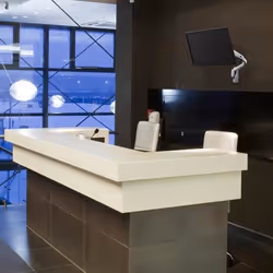 Ergotron MXV Series MXV Wall Monitor Arm 34" Blanc Mur