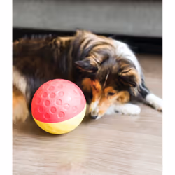 Outward Hound Treat Tumble