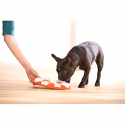Outward Hound Dog Smart - Vue supplémentaire 4