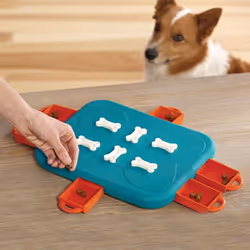 Outward Hound Dog Casino