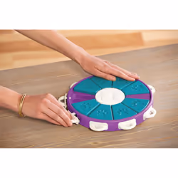 Outward Hound Dog Twister