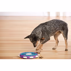 Outward Hound Dog Twister