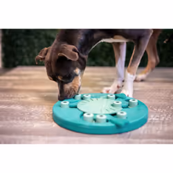 Outward Hound Dog Worker