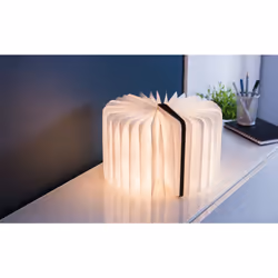 Gingko Design Smart Book Light lampe de table Ampoule(s) non remplaçable(s) LED Noyer