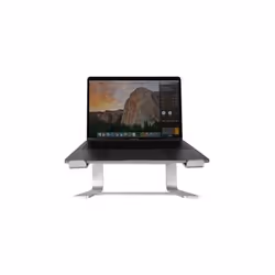 Macally ASTANDSG, Supports de Laptop, Gris, Aluminium, 25,4 cm (10"), 43,2 cm (17"), -19 - 19°