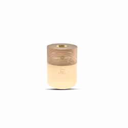 Gingko Design Smart Diffuser Lamp, Noyer, Verre acrylique, Cuivre, Bois, Universel, Chine, 1 W, LED