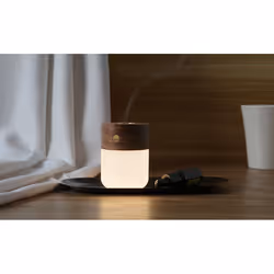 Gingko Design Smart Diffuser Lamp lampe de table 1 W LED Noyer
