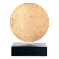 Gingko Design G019BK lumière décorative Figurine lumineuse décorative LED