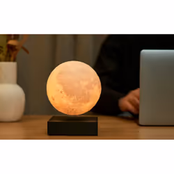 Gingko Design G019BK lumière décorative Figurine lumineuse décorative LED