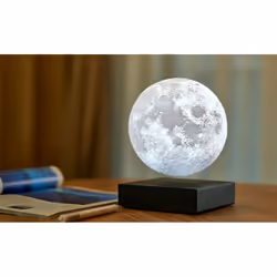 Gingko Design G019BK lumière décorative Figurine lumineuse décorative LED