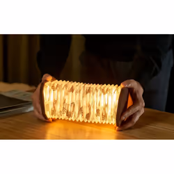 Gingko Design G006ZE lampe de table LED Marron
