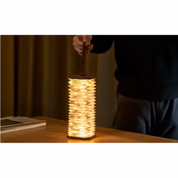 Gingko Design G006ZE lampe de table LED Marron