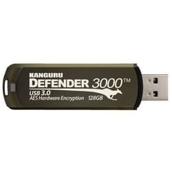 Kanguru Defender 3000 lecteur USB flash 32 Go USB Type-A 3.2 Gen 1 (3.1 Gen 1) Marron