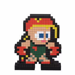 PDP Cammy - Street Fighter